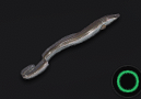 European Eel