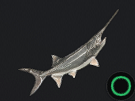 Paddle Fish